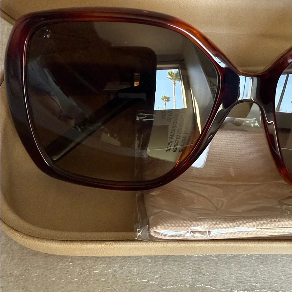 Chloe Oversized Brown Sunglasses - Picture 2 of 6